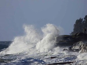 Huge waves crash against Trail Bay beach in Sechelt on Sunshine Coast BC during #BCStorm. HD 1080 #Video by Duane Burnett. Wind gusts up to 100 km/h pummelled the South Coast of British Columbia Canada. More PHOTOS at https://www.facebook.com/media/set/?set=a.2409197812442825&type=1&l=0a803fe3c2 | Sunshine Coast BC Canada