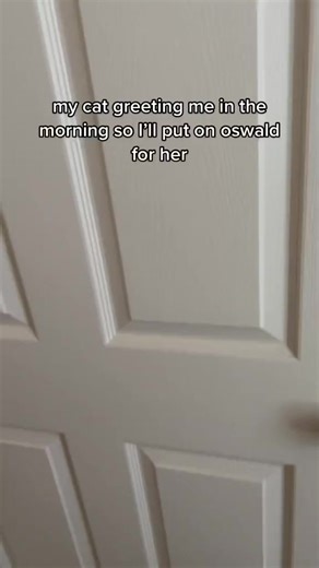 we LOVE oswald #cat #catsofinstagram #cats #catlife #catstagram #catlovers #petstagram #petsofinstagram #catlove #catoftheday #animals #viral #chonk #catsofig #instacat #cutecat | Ellawatchestv_