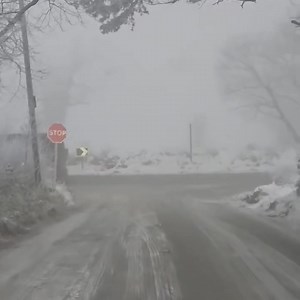 UPS gets around.. 😵‍💫 #UKcheckpoints | UKcheckpoints.info