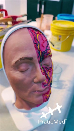 Botoks Eğitim Seti #botox #dolgu #mezoterapi #aestheticmedicine #MedicalSimulator