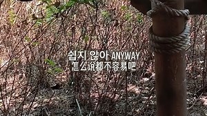 【itzy】cake cake cake cake cake