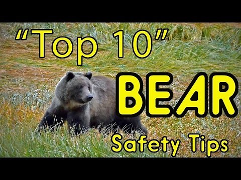 "Top 10" BEAR Safety Tips (or HOW TO AVOID BEING EATEN ALIVE!)