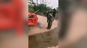 Chinese officials continue to kill dogs over coronavirus fears