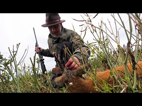 Buck hunting in Sweden with a break-action rifle