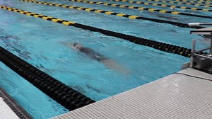 For this week's #ThrowbackThursday we look back at the MSU women's swim and dive team winning the conference tournament!!! What a season!!! #MSUBears ⬇️⬇️⬇️ | Missouri State Bears