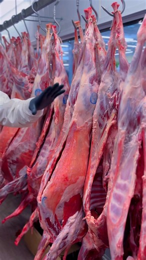 VIP HALAL MEAT 5193184859 Roua Plus Food Market 140 Centennial Pkwy N, Hamilton, ON L8E 1H9 | Halal Meats