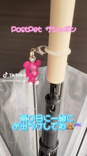 雨の日のポストペットとの楽しいお出かけ
