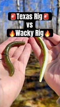 Texas Rig vs Wacky Rig‼️🎣