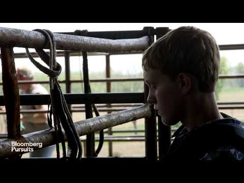 Bull-Riding School: Learning How to Ride a Wild Bull