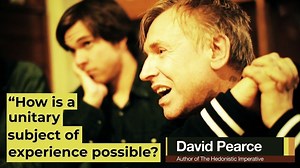 David Pearce — Unitary Subjects of Experience & the Binding Problem of Consciousness – Lifeboat News: The Blog