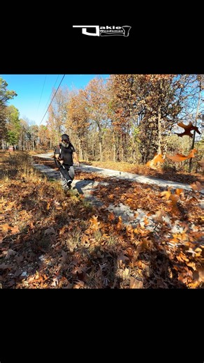 Oakie Woodsman on Instagram: "Dirt Blowing PB-9010T! #echo #blower #powerful"