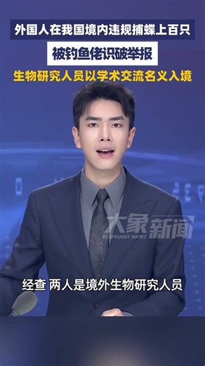 外国人境内违规捕蝶上百只，被钓鱼佬识破 #大象主播说 峰仔