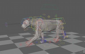 四足动物骨骼运动动画参考_哔哩哔哩_bilibili