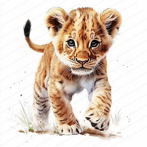 14 Cute Lion Baby Clipart | Lion Nursery Art | Printable Watercolor Clipart | High-quality Jpgs | Digital Download | High Resolution - Etsy