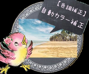 【色調補正】自動カラー補正