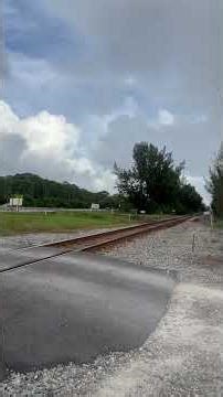 79MPH Three Engine Amtrak Floridian Heading South