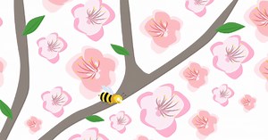 Le développement des végétaux : de la fleur au fruit, du fruit à la graine