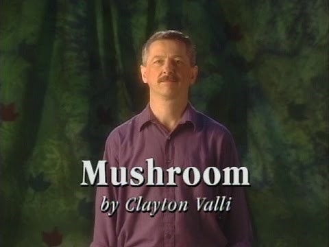 '3D storytelling': Deaf Crows slam brings poetry to life