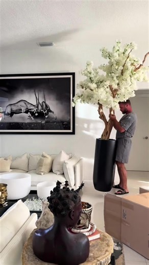 A wide selection of potted plants for indoor and outdoor spaces—choose your favorites! Now on sale!