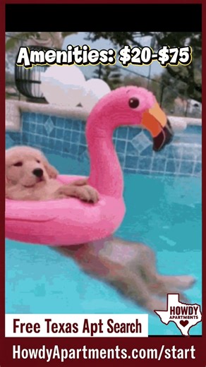 14 Days of New City Tips — Day 6: Hidden Fees