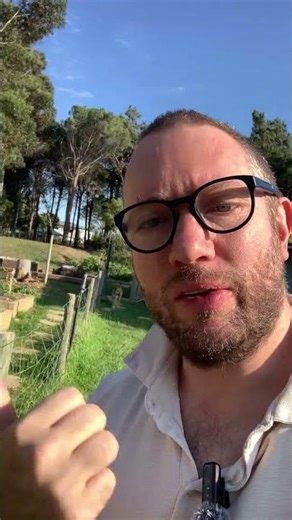 Quick speed run of my veggie garden into #homesteading #vegetablegarden