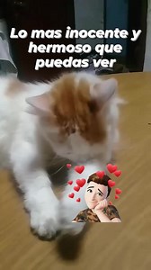 #hastagfbreels #sharethatexplode #mesiguespormascontents #fypシviralシ2024 #fypシ゚viralシ #fypシ゚viralシfypシ゚viralシalシ #fpyシviral #fpyreels #fpyyyyyyyyyyyyyyyyyyyyyyyyyyyyyyyyyy #fypシ seguidores para tu página monetiza rápido Seguidores de Facebook 💵💵💵 APOYO MUTUO MAS SEGUIDORES EN FACEBOOK José Coggiolo | José Coggiolo