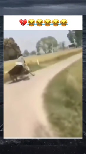 Rồi mắc gì ông đẩy hộ người ta 🗿🤣 #short #videofunny