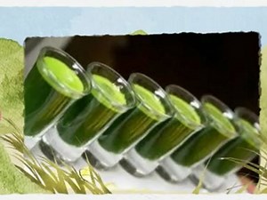 Omega 8004 - The truth about Omega 8004