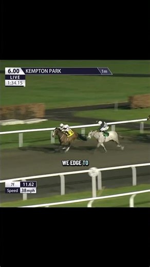 We continue to deliver the mega points!! 🤩#horseracing #horseracingtips #kempton #chelmsfordcity