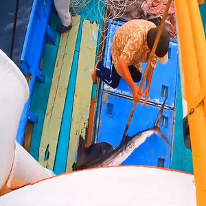 13K views · 13 reactions | Hunt For Giant Sword Fish At Sea :o | Brandon Bowen | Facebook