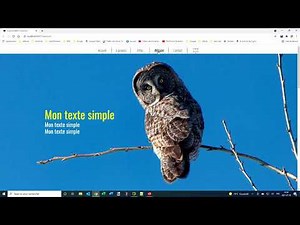 Un bas de page standard avec openElement.