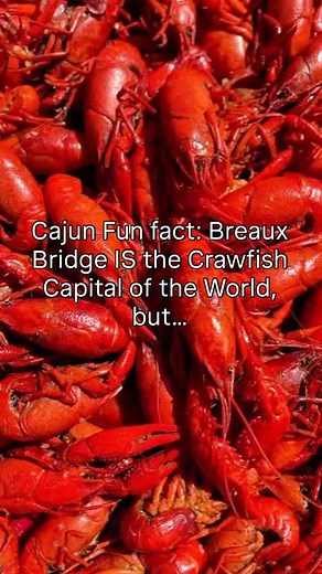 92K views · 2.3K reactions | Breaux Bridge may proudly hold the title...