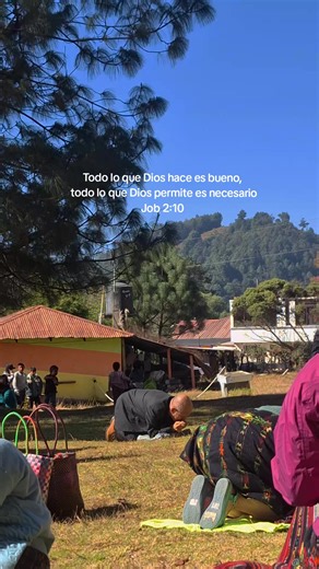 Reflexiones de Job: La Bondad de Dios