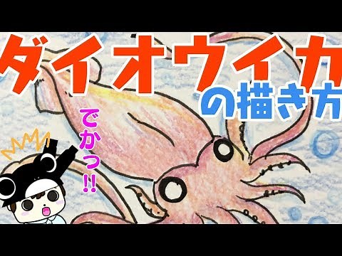 [Sea creatures] How to draw squid