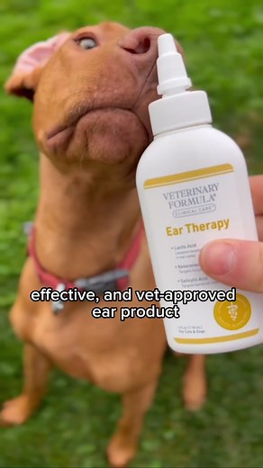 🐾 Protect your pet's ears with Ear Therapy! Our gentle, alcohol-free formula provides sting-free and odor-free daily ear care. | Veterinary Formula