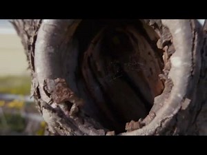 520K views · 290 shares | Hello friend. In the outdoors, we are all equal. You already have all that you need to reach your peak, to seize every adventure, to live the real moments that make a meaningful life. Let the trail be your guide. #MerrellPH #GetawaytoAdventure | Merrell | Facebook