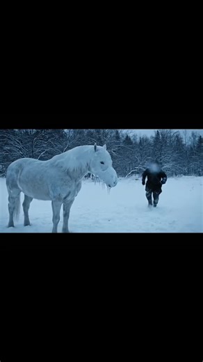 Horse Enjoys Icy Fun in Russia's Winter Wonderland