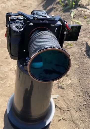 did my makeshift tripod work? 😭🌷 #tulips #flowers #cinematic #chill #videography #toronto #niagara #walk #fyp #peaceful #calm