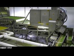 Cut green bean sorting machine Genius - TOMRA Sorting
