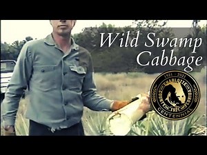 Excerpts from Stalking the Wild Swamp Cabbage