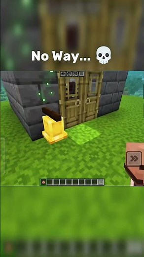 They Thought It Was Safe😈 #petshub