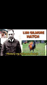 History of the Gilmore Hatch Gamefowl🫡♥️ #gamefowlbreeder #history #gilmore #gamefowl #panabongnamanok | Magbanua Gamebirds