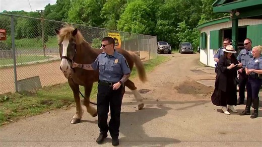 Local Week In Review (5/24/25)