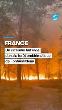 #Incendie à Fontainebleau : la forêt emblématique au sud de #Paris en proie aux feux • FRANCE 24