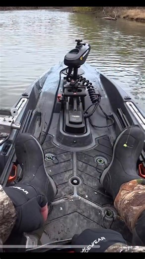 BARFLY on Instagram: "ZMan Elastech baits have the toughest plastic out there‼️🎣 #followme"