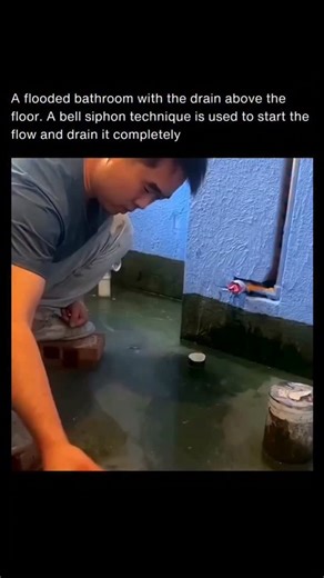 Trending hub !!! | A bell siphon is a clever mechanism that uses water pressure and air displacement to automatically drain a container once it reaches a... | Instagram