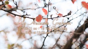 Lily's Birth