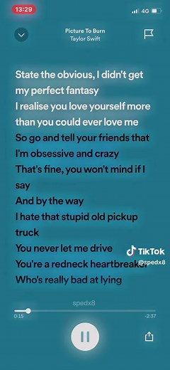Taylor Swift's 'Picture to Burn' Full Song Version Lyrics
