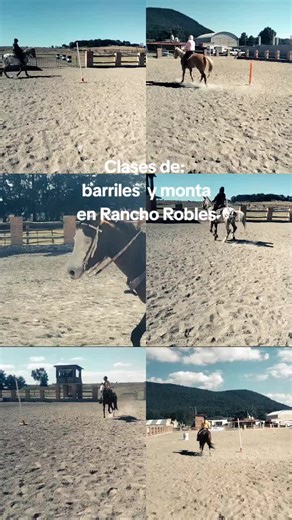 Rancho Robles ofrece clases de monta básica, avanzada, rienda, clases de barriles y polos.