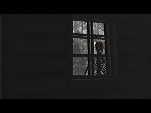 Backrooms - Found Footage #32 (Forest of the Skeleton Queen)